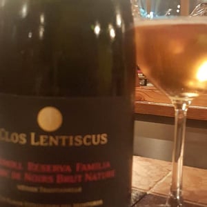 Sumoll Reserva Familia - Clos Lentiscus - manel-avino