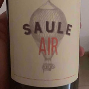 Saule Air - Domaine Les 3 Saules - francois-laborie