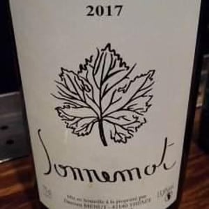 Sonnemot - Domaine de Pontcher - bruno-allion-jean-philippe-louis-retired