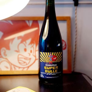 Super bulle - Domaine De Cadeillac - bertrand-henry -2024