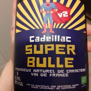 Super bulle - Domaine De Cadeillac - bertrand-henry -2024
