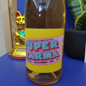 Super Karma Orange - Karma Village - rafael-raybois -2023