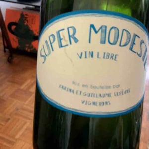 Super Modeste - Domaine de Sulauze - Karina & Guillaume Lefèvre 