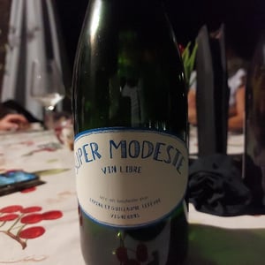 Super Modeste - Domaine de Sulauze - karina-guillaume-lefevre