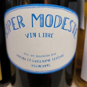 Super Modeste - Domaine de Sulauze - karina-guillaume-lefevre