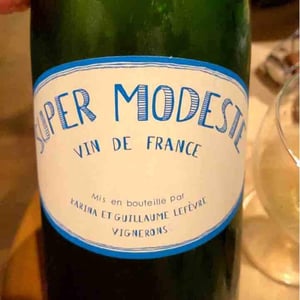 Super Modeste - Domaine de Sulauze - karina-guillaume-lefevre