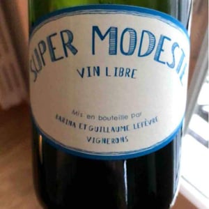 Super Modeste - Domaine de Sulauze - karina-guillaume-lefevre