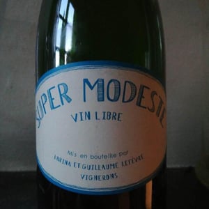 Super Modeste - Domaine de Sulauze - karina-guillaume-lefevre