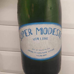 Super Modeste - Domaine de Sulauze - karina-guillaume-lefevre