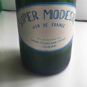 Super Modeste - Domaine de Sulauze - karina-guillaume-lefevre