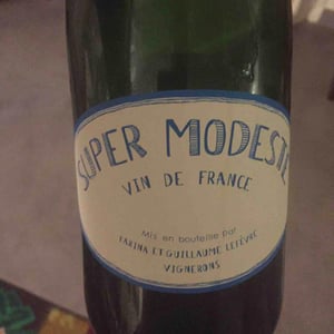 Domaine de Sulauze - Karina & Guillaume Lefèvre - Super Modeste