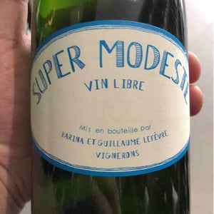 Super Modeste - Domaine de Sulauze - karina-guillaume-lefevre