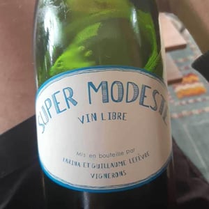 Super Modeste - Domaine de Sulauze - karina-guillaume-lefevre