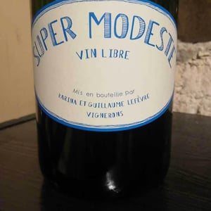 Super Modeste - Domaine de Sulauze - karina-guillaume-lefevre