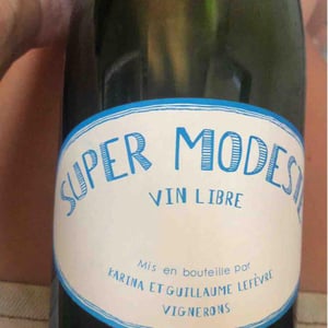 Super Modeste - Domaine de Sulauze - karina-guillaume-lefevre