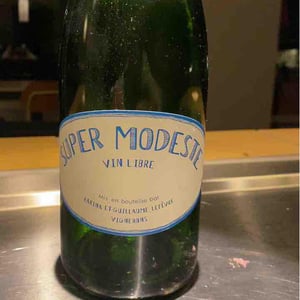 Super Modeste - Domaine de Sulauze - karina-guillaume-lefevre