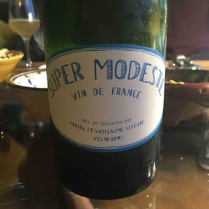 Super Modeste - Domaine de Sulauze - karina-guillaume-lefevre