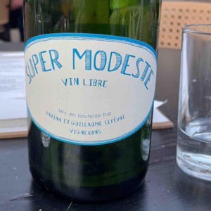 Super Modeste - Domaine de Sulauze - Karina & Guillaume Lefèvre 