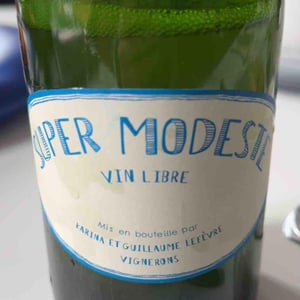 Super Modeste - Domaine de Sulauze - karina-guillaume-lefevre