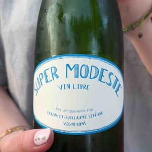 Super Modeste - Domaine de Sulauze - karina-guillaume-lefevre