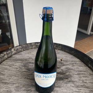 Super Modeste - Domaine de Sulauze - Karina & Guillaume Lefèvre 