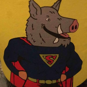 Domaine de Mena - Sébastien Agelet - Super Singla