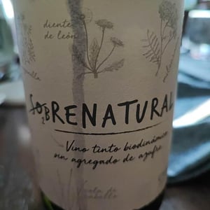 Sobrenatural - Chakana - juan-pelizzatti-gabriel-bloise-facundo-bonamaizon