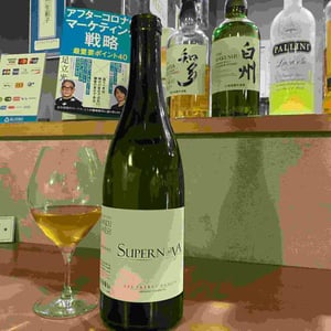 Domaine Danjou-Banessy - Benoît & Sébastien Danjou - Supernova