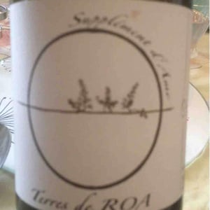 Supplément d'Âme 19 - Vignoble des Vernusses - Loren PETIT -2022