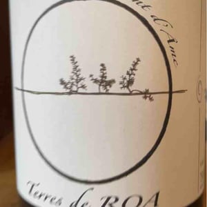 Supplément d'Âme - Vignoble des Vernusses - Loren PETIT -2022