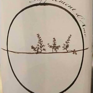 Supplément d'Âme - Vignoble des Vernusses - Loren PETIT -2022