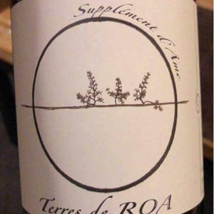 Vignoble des Vernusses - Loren PETIT - Supplément d'Âme