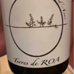 Supplément d'Âme - Vignoble des Vernusses - loren-petit -2022