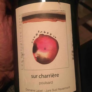 Domaine Labet - Julien, Charline & Romain Labet - Les Parcelles Rares - Sur Charrière Poulsard