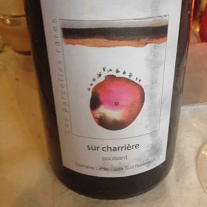 Les Parcelles Rares - Sur Charrière Poulsard - Domaine Labet - julien-charline-romain-labet