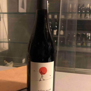 Sur Le Fil - La Ferme Saint-Martin - Les Vins de Thomas - sophie-thomas-jullien