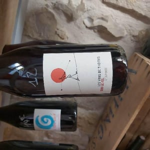 Sur Le Fil - La Ferme Saint-Martin - Les Vins de Thomas - sophie-thomas-jullien