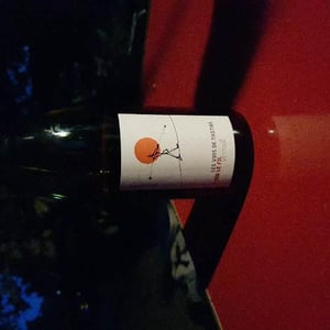 La Ferme Saint-Martin - Les Vins de Thomas - Sophie & Thomas Jullien - Sur Le Fil