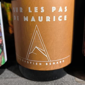 Sur Les Pas De Maurice - Domaine Les Alpins - sebastien-benard -2020
