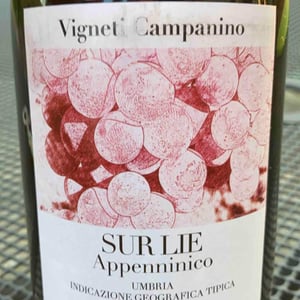 Sur Lie Appenninico Umbria IGT - Tenuta Baroni Campanino - Andrea Caracciolo 