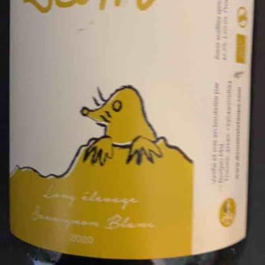 Surin - Domaine La Taupe - Nicole Messer & Bertjan Mol 