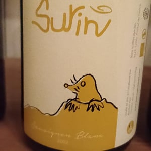 Surin - Domaine La Taupe - nicole-messer-bertjan-mol