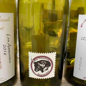 Surprise 2015 - Domaine de Rapatel - Gérard Eyraud 