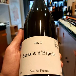 Sursaut d'Espoir - Les Enfants Terribles - jean-sarah-fallay
