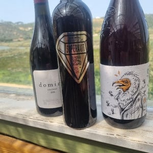 Superavit - Vinhos Aparte - APRT3 - Luís, Diogo, & Guilherme -2020