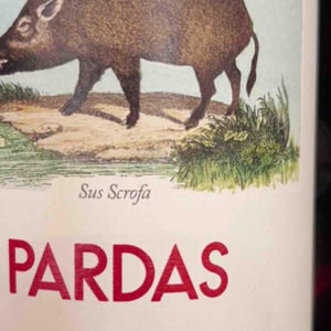 Sus Scrofa - Celler Pardas - ramon-parera-jordi-arnan