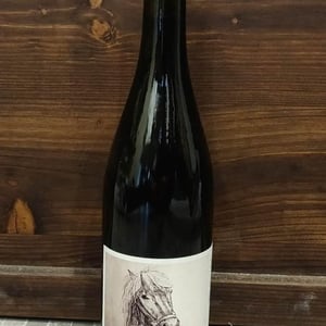 Suspens - Domaine de l'Alezan - remi-patricia-bonneton