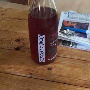 Azienda Agricola Frank Cornelissen - Frank Cornelissen - Susucaru Rosato