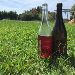 Azienda Agricola Frank Cornelissen - Frank Cornelissen - Susucaru Rosato