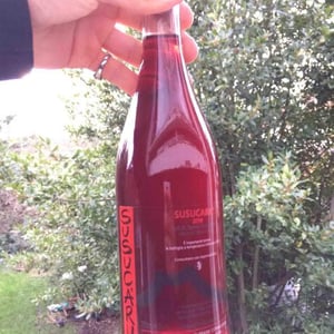 Azienda Agricola Frank Cornelissen - Frank Cornelissen - Susucaru Rosato